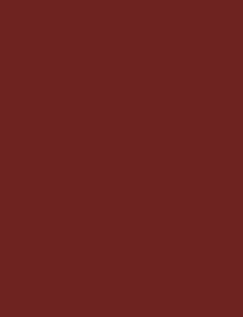 Flormar Kiss Me More Lip Tattoo - 010 Choco