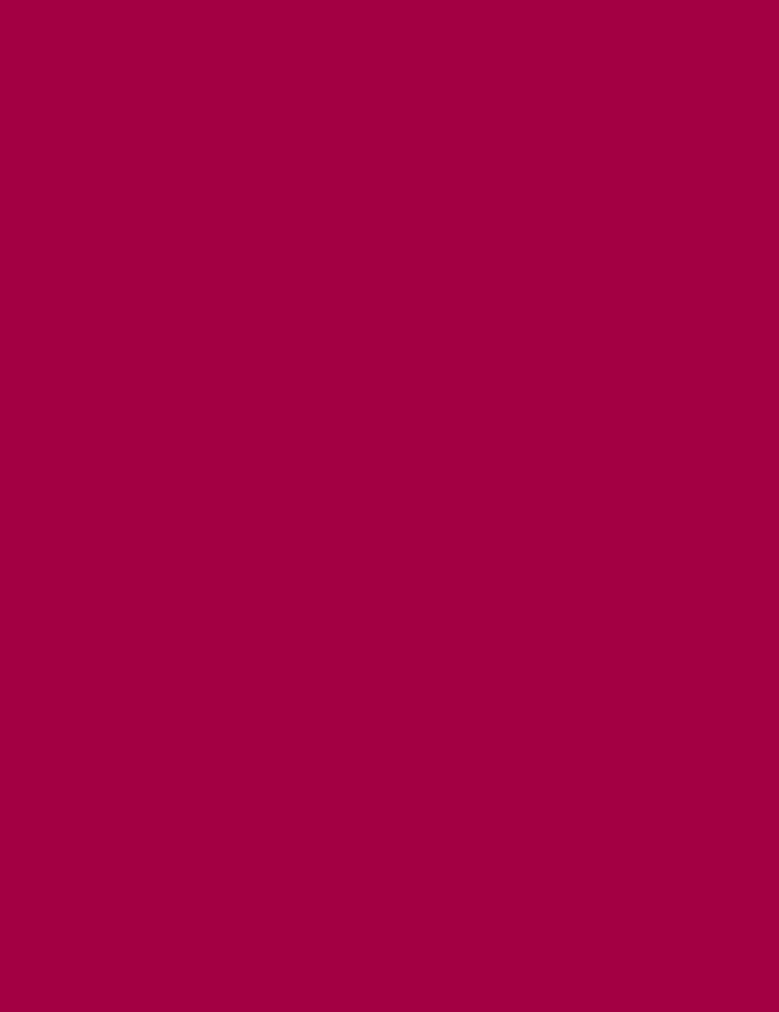 Flormar Festival Lovers Liquid Lipstick – lifestyle