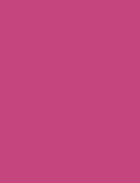 Flormar Lightweight Lip Powder - 013 Always Pink