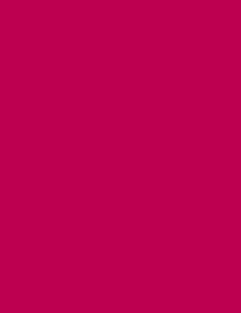 Flormar Lightweight Lip Powder - 016 Brave Girl