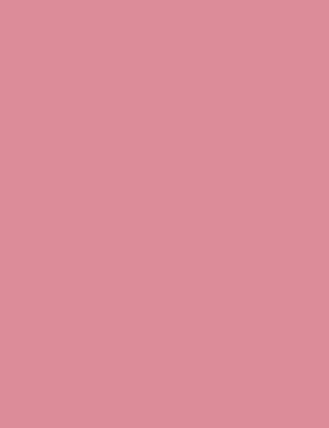 Flormar Baked Blush-On - 040 Shimmer Pink