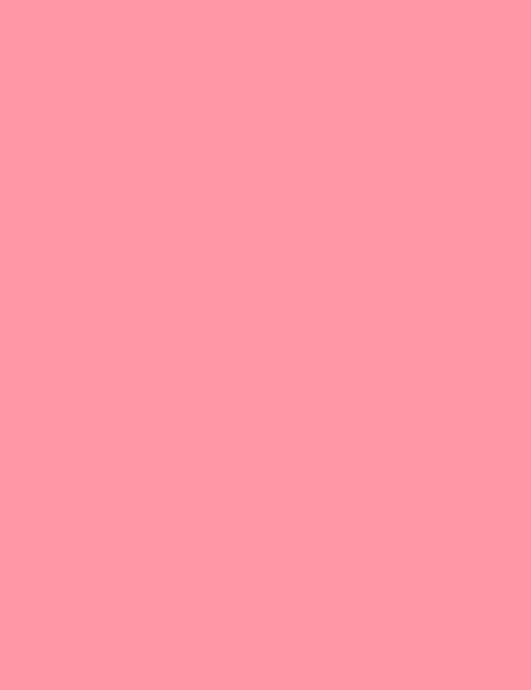 Flormar Baked Blush-On - 054 Flormar Pink