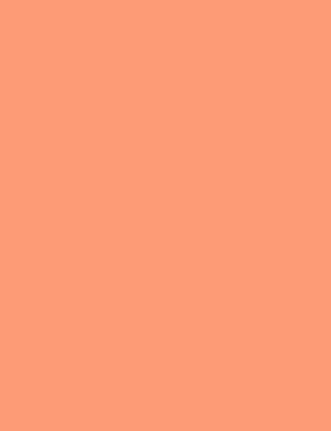 Flormar Blush-On - 100 Matte Peach
