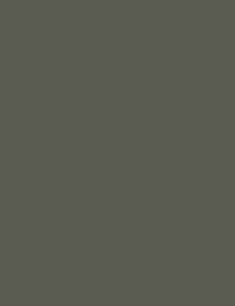 Flormar Baked Eyeshadow - 007 Olive Glam