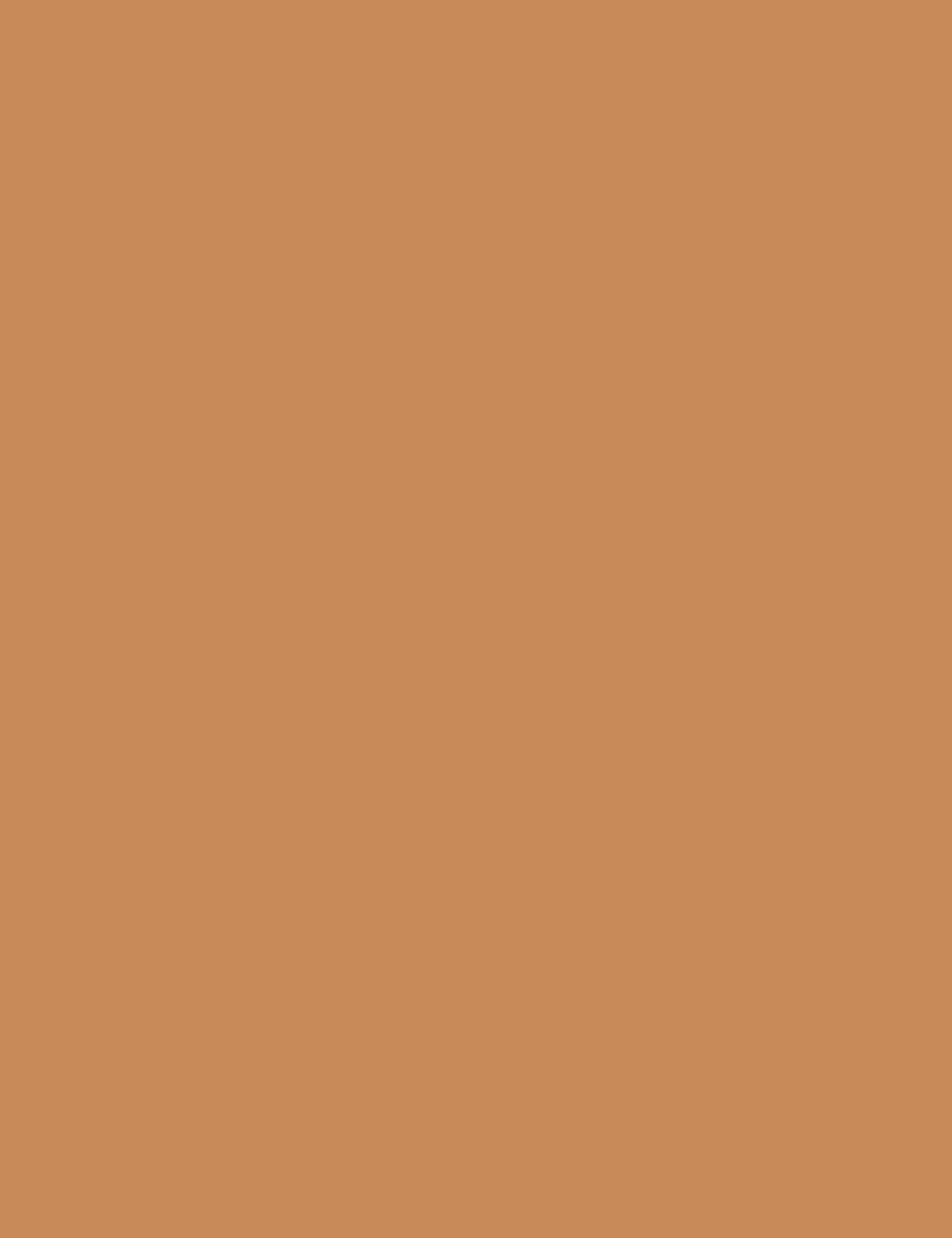 Flormar Hd Invisible Cover Foundation - 110 Gldn Beige Np