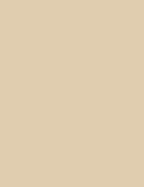 Flormar Skin Lifting Foundation - 020 Pure Beige