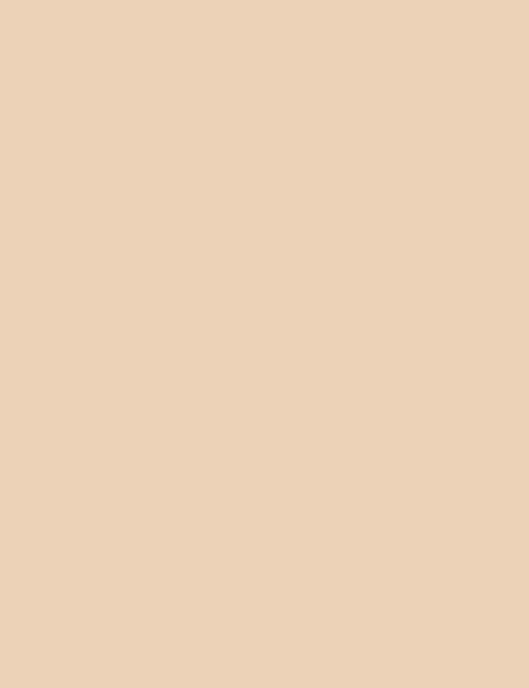 Flormar Skin Lifting Foundation - 040 Soft Beige