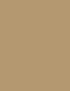 Flormar Skin Lifting Foundation - 110 Golden Honey