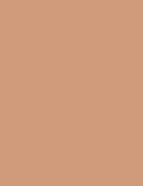 Flormar Skin Lifting Foundation - 140 Tan