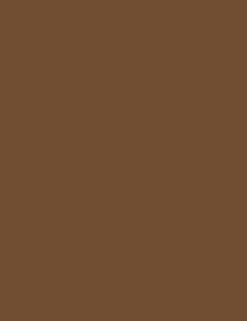 Flormar Skin Lifting Foundation - 160 Dark Caramel