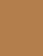 Flormar Perfect Coverage Foundation - 135 Hazel Np