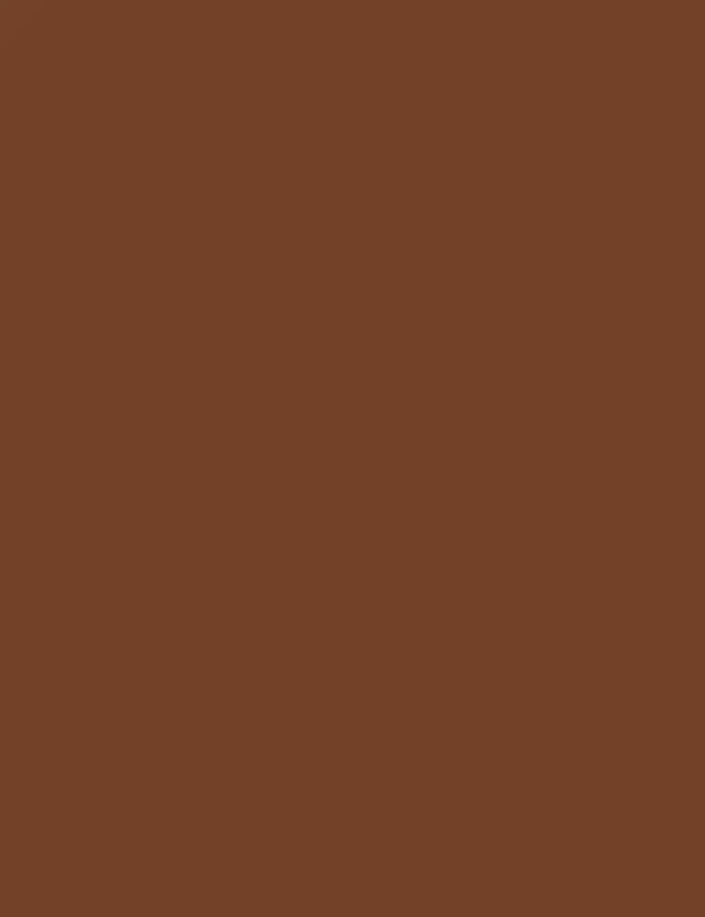 Flormar Perfect Coverage Foundation - 137 Nutmeg Np
