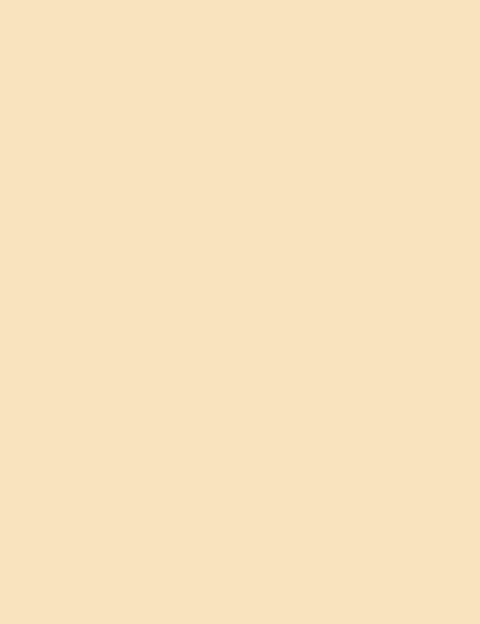 Flormar Stay Perfect Concealer - 001 Fair