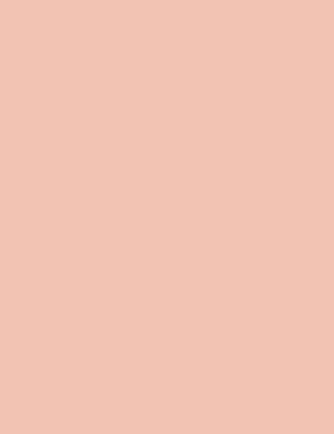 Flormar Stay Perfect Concealer - 004 Ivory