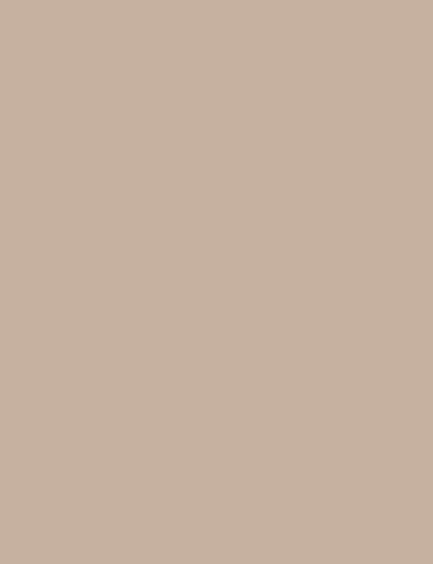 Flormar Stay Perfect Concealer - 006 Medium Beige