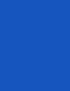 Flormar Star Shine Nail Enamel – finish