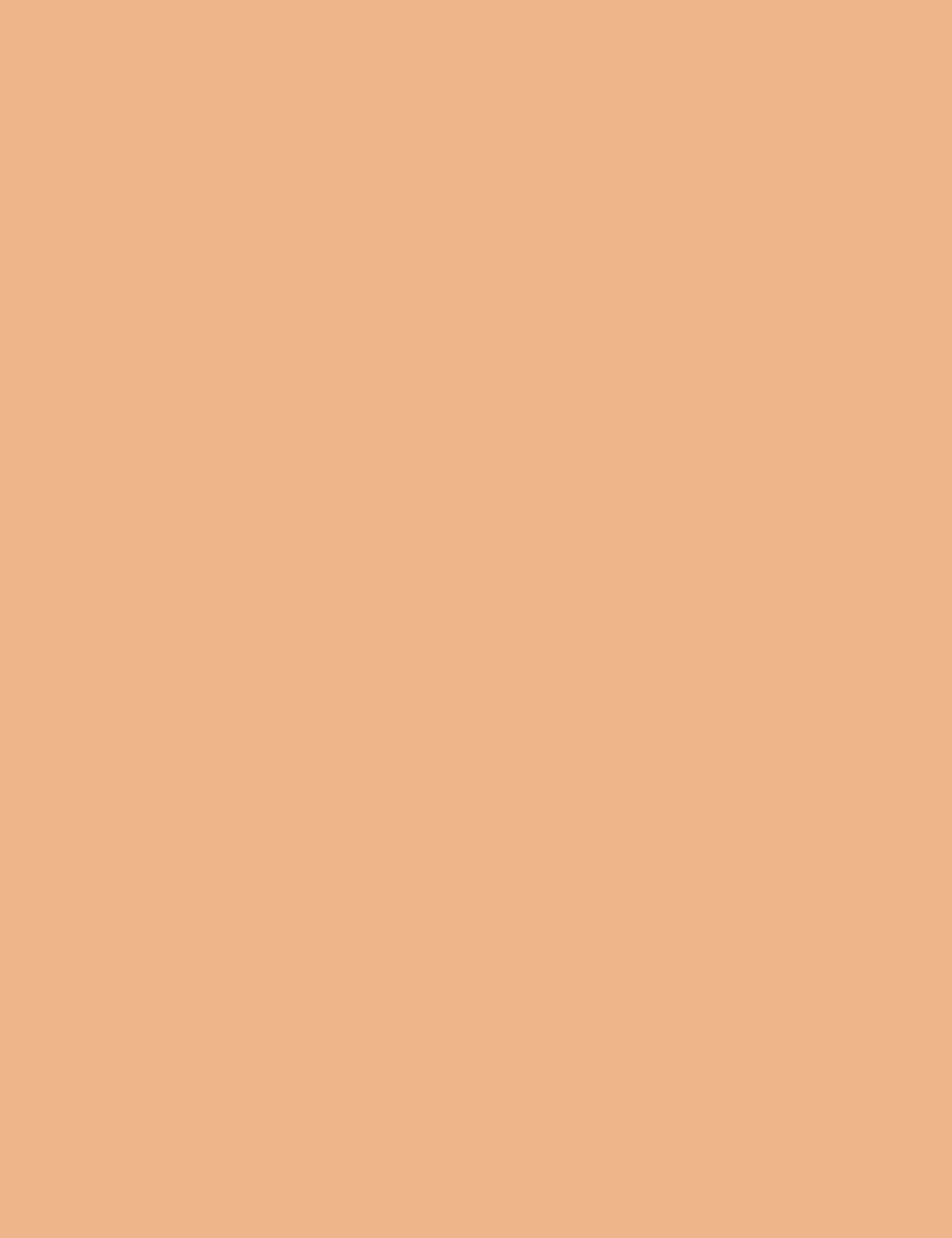 Flormar Perfect Coverage Liquid Concealer