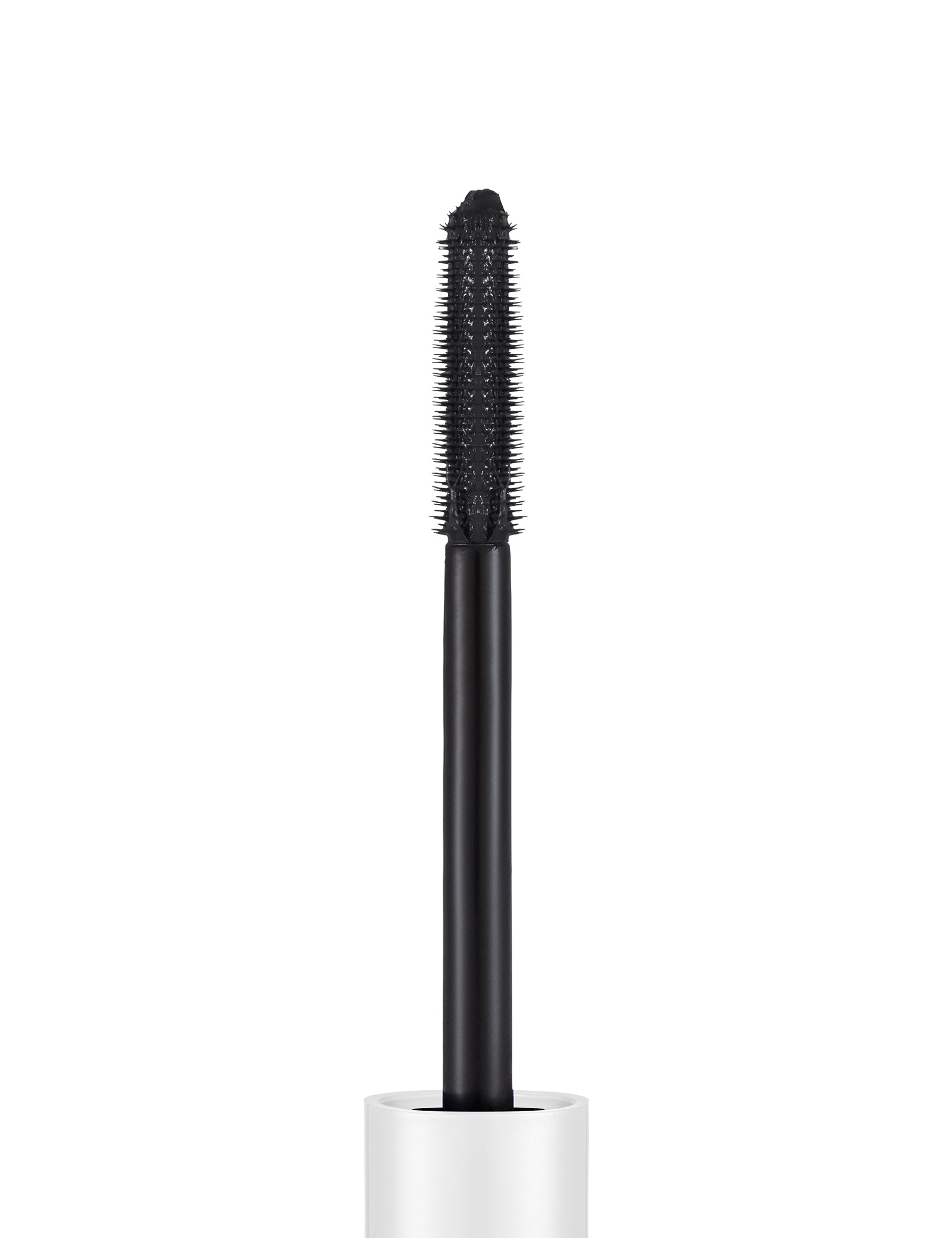 Tinted Primer Mascara