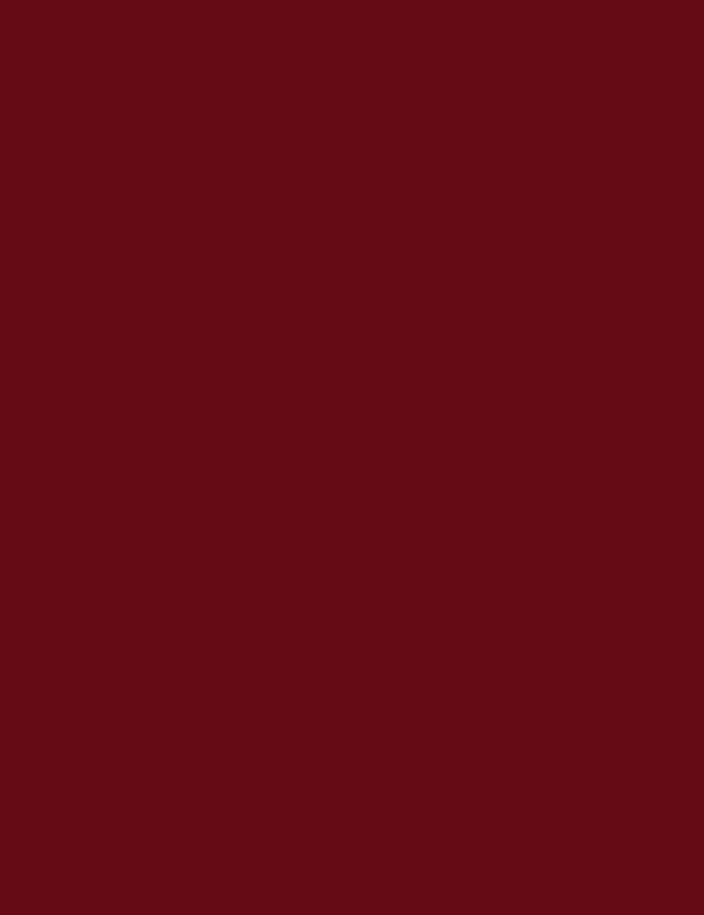 Flormar Lift Up Caring Lip Plumper - 006 Bold Desire