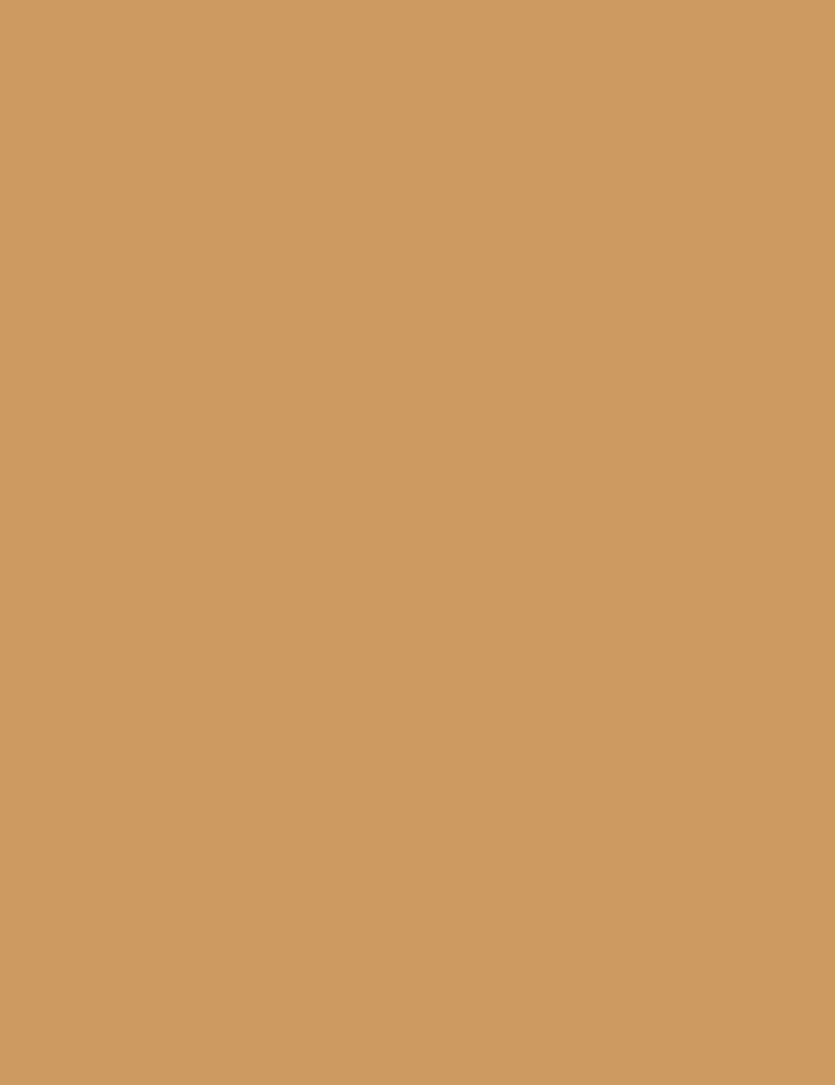 Flormar Latte Addiction Lip Topper - Golden Mocha