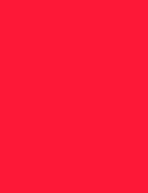 PEARLY PNE R2-068 VELVET BORDEAUX - Le Rouge