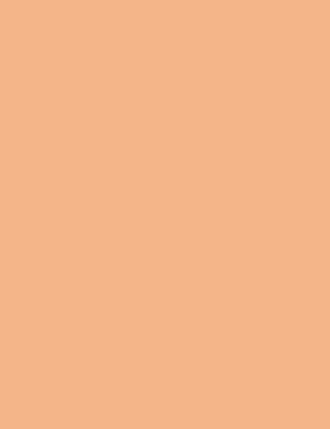 Flormar Perfect Coverage Liquid Concealer - Ivory