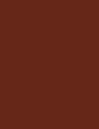 Flormar Deluxe Cashmere Lipstick - C29 E.terracotta