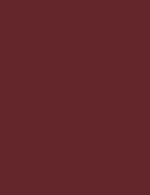 Flormar Hd Weightless Matte Lipstick - 013 Perfect Bordeaux