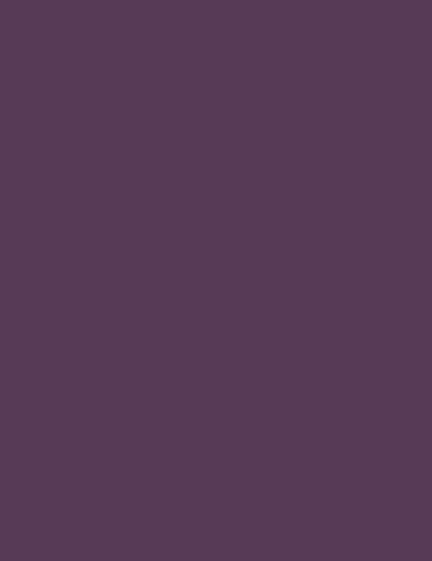 Flormar Smoky Eyes Waterproof Eyeliner - 005 Deep Purple