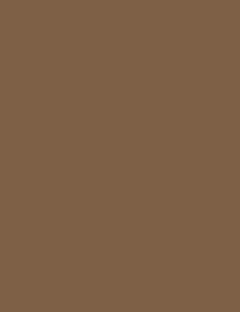 Flormar Contour Stick - 003 Medium Deep