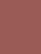 Flormar Silk Matte Liquid Lipstick - 018 Sunny Land