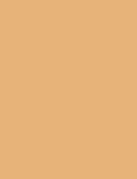 Flormar Mono Eyeshadow - Flormar KSA